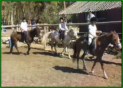 Girls in pen on horse